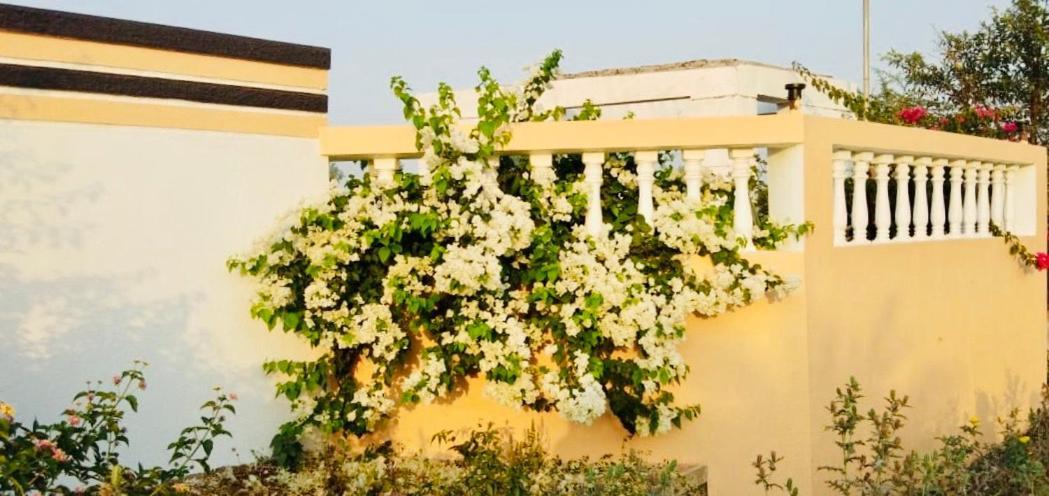 Royal Meadows - Igatpuri Bungalow C Exterior foto